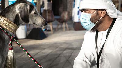 Children can pet falcons and salukis at the fest.