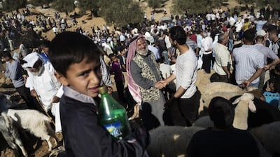 A Palestinian boy looks on while a dealer shakes hands with a customer at an open air animal market ahead of the Muslim holiday of Eid Al Adha in the West Bank city of Bethlehem. Marco Longari / AFP Photo