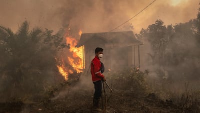 A firefighter prepare extinguish the fire on burned house and fields in Pulang Pisau regency, Central Kalimantan, Indonesia. Getty