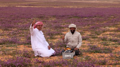 Visitors make a cup of tea in a stretch of desert covered with blooms, near Rafha