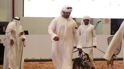 Emirati volunteers exhibit Greyhounds at the event. Courtesy Adihex