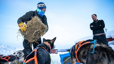 Joar Liefseth Ulsom, of Norway, tends to his dogs while talking to fellow competitor Thomas Waerner in Ruby, Alaska, during the Iditarod trail sled dog race. AP