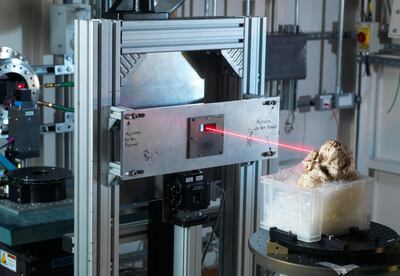 The skeleton of Little Foot was scanned at Britain's national synchrotron facility, Diamond Light Source. Reuters