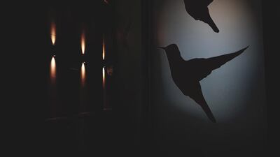 Sean Hutchings’s photo won in the Smartphone category.