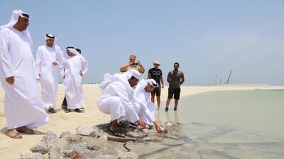 A pilot project will see 10 to 15 artificial tidal pools built of the coast of Ras al Khaimah. Courtesy: @ThaniAlZeyoudi