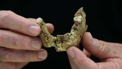 Tel Aviv University Professor Israel Hershkovitz holds what scientists say is a piece of fossilised bone of a previously unknown kind of early human discovered at the Nesher Ramla site in central Israel. Reuters