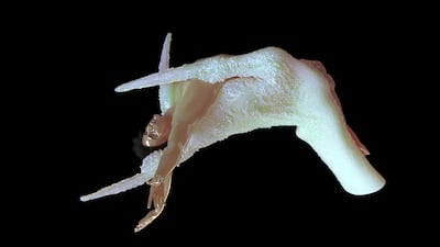 A still from Bassam Al-Sabah's CGI video 'I Am Error' (2021). Bassam Al-Sabah