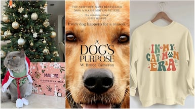 There's something for everyone this holiday season. Photo: Mau and Me; Forge Books; Temu