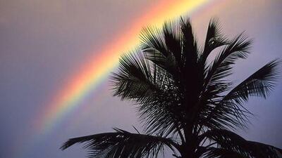 Full spectrum vision: glasses have been invented that allow colour-blind people to see red and green. Ron Dahlquist / Getty Images