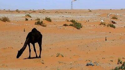 Concerns over the fragile world economy and the forthcoming sanctions against Iran have prompted Saudi Arabia, Opec's biggest producer, to raise output to its highest in decades. AFP