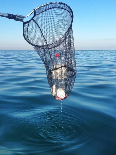 Plastic straws pollute the sea, threatening marine life. Photo by Shamsa Al Hameli