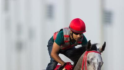 XY Jet during trackwork at Meydan prior to the Dubai World Cup. Courtesy: Dubai Racing Club/Neville Hopwood