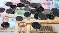 Since the end-of-service benefit is only paid out on departure, should this amount form part of a shareholder employee corporate tax declaration? Rich-Joseph Facun / The National