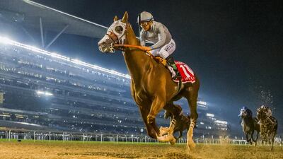 California Chrome shown during his winning run in the Dubai World Cup in March. Kaz Ishida / Eclipse Sportswire / Getty Images