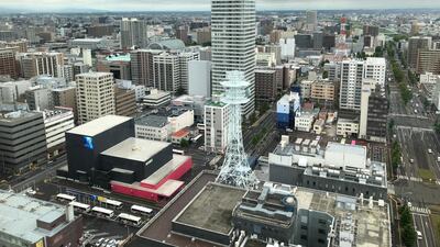 A view of Sapporo from the TV Tower Observatory. Courtesy Declan McVeigh