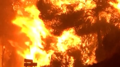 Wildfire overwhelms firefighters in eastern Spain