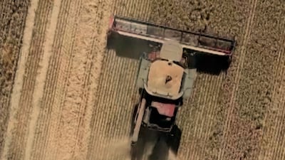 Drought pushes UK farmers to the edge