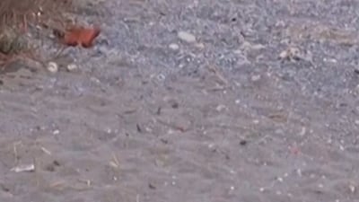 Migrants sleep on Ceuta beach after border rush from Morocco