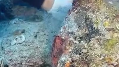 'World's oldest known shipwreck' found off Turkey