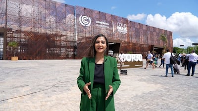 Amazon city Belem becomes global climate focus point on eve of Cop30