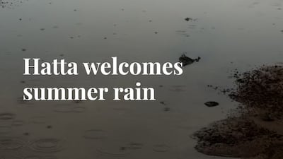 Hatta welcomes summer rain