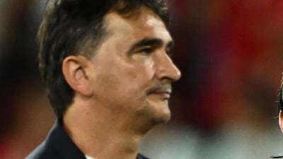 The UAE have appointed Zlatko Dalic as head coach of the national team