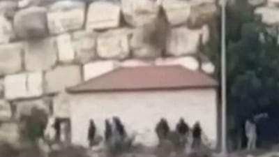 Palestinians' fields 'torched by Israeli settlers'
