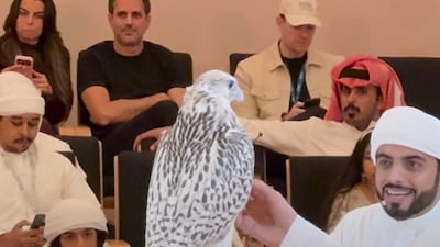 Falcon sells for Dh255,000 in Abu Dhabi auction