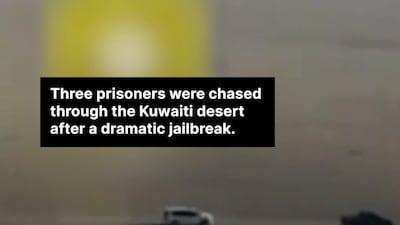 Three escaped prisoners recaptured after Kuwait desert chase