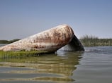 Iraq's historic Unesco marshes threatened by raw sewage and pollution