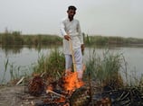 From lush fields to concrete, Iraq's marsh dwellers forced to adapt to city life