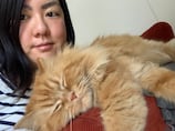 International Cat Day: What I've learnt from a lifetime of having felines