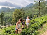 A family tour across Sri Lanka, with elephants, beaches and the warmest people