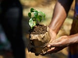 Gates Foundation announces $1.4bn commitment to help farmers battling climate change