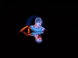 What is Crazy Horse Paris? Famous French cabaret show to open in Dubai
