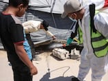 'A nocturnal threat': Rodents and disease spread through Gaza’s displacement camps