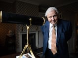 Five David Attenborough documentaries filmed in the Middle East