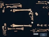 Egypt's warrior princesses: Ancient bones reveal lives of trained female archers