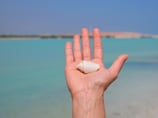 Iron Age supermarkets: How mangroves and beaches were rich store of supplies for UAE's ancient communities