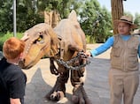 Dubai Parks and Resorts reopens with new attractions and live shows
