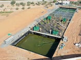 How crops are being grown and fish reared in an eco-friendly way in the Sharjah desert