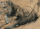 Rare Rembrandt lion drawing to be displayed in Abu Dhabi ahead of New York auction