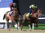 Dubai World Cup 2026 predictions: Forever Young to complete historic Gulf double