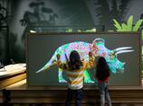 Guide to Natural History Museum Abu Dhabi: Timings, ticket prices and child-friendly attractions