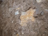 Rare stele of Assyrian king who reigned 2,600 years ago unearthed in Iraq's Nineveh