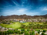 Dog-friendly hotels in the UAE: Where to go for a staycation with your pet