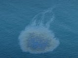 Swift response key to limiting environmental impact of UAE oil spill, experts say