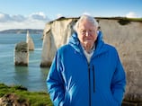 Saving the ocean is easier than we realised, says David Attenborough
