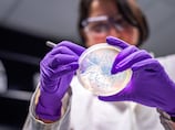 From participation to leadership: The next chapter for Emirati women in Stem
