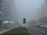 How to drive safely in UAE fog: Tips for motorists in reduced visibility